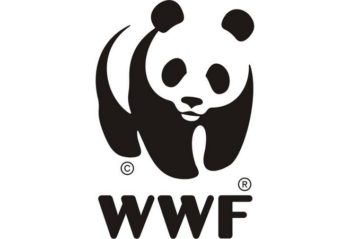 Le panda, symbole du WWF