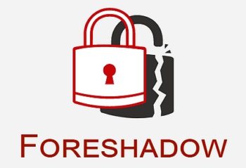 Intel ForeShadow (source https://foreshadowattack.eu/)